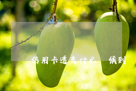 信用卡透支什么時候到賬(信用卡什么時候入賬)