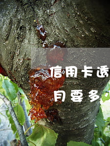 信用卡透支倆萬多少利息(信用卡透支六萬每月要多少錢)