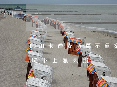 信用卡透支兩萬不還案例(信用卡透支了兩萬還不上怎么辦)