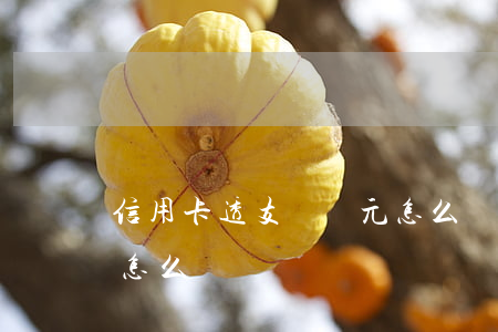 信用卡透支兩萬元怎么還(信用卡透支兩萬元怎么還)