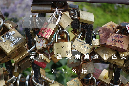 信用卡透支兩萬逾期(透支卡逾期2天會(huì)怎么樣)