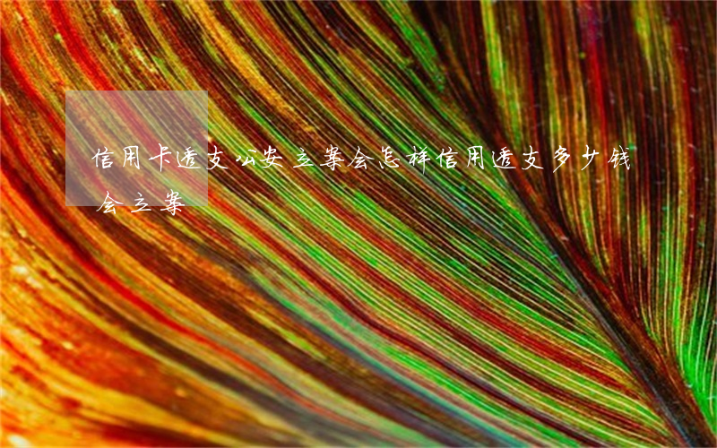 信用卡透支公安立案会怎样(信用透支多少钱会立案)