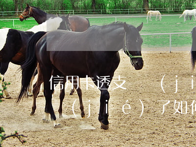 信用卡透支凍結(jié)怎么辦(信用卡凍結(jié)了如何解決)