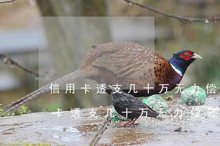 信用卡透支几十万无力偿还会判刑吗-信用卡透支几十万无力偿还会判刑吗知乎