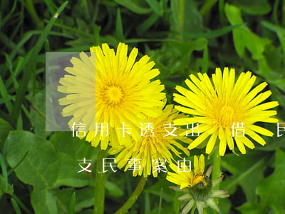 信用卡透支出來借給民間(借用他人信用卡透支民事案由)