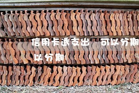 信用卡透支出來可以分期嗎(往信用卡存錢可以分期嗎)