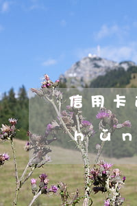 信用卡透支刑事立案標(biāo)準(zhǔn)(刑法信用卡惡意透支)