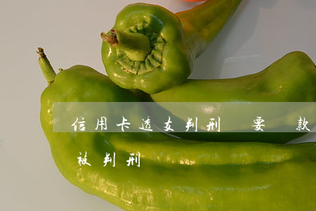 信用卡透支判刑還要罰款嗎(欠信用卡的錢會被判刑嗎)