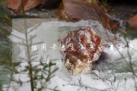 信用卡透支利息一萬是多少(透支信用卡1萬一年利息多少)