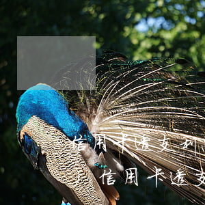 信用卡透支利息和手續(xù)費(fèi)(信用卡透支取現(xiàn)手續(xù)費(fèi)和利息)