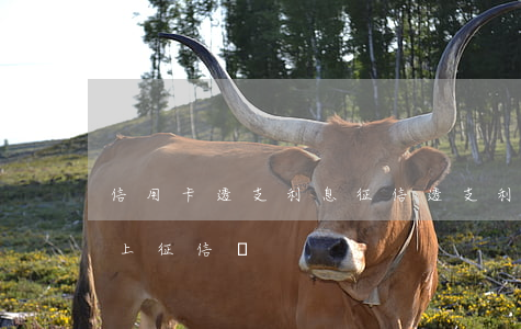 信用卡透支利息征信(透支利息會(huì)上征信嗎)