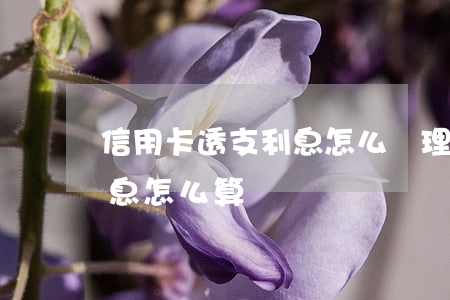 信用卡透支利息怎么辦理(銀行信用卡透支利息怎么算)