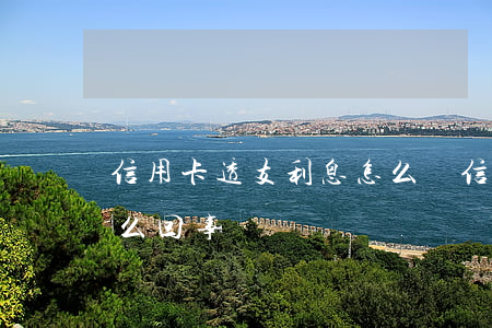 信用卡透支利息怎么還(信用卡透支利息是怎么回事)