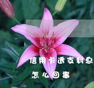 信用卡透支利息應該還不(信用卡透支利息是怎么回事)