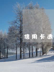 信用卡透支利息比本金高(信用卡利息算高利貸嗎)