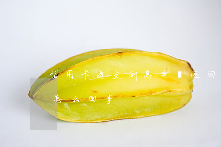 信用卡透支利息申請返回(信用卡透支利息是怎么回事)