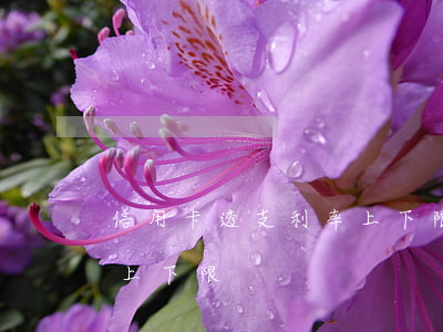 信用卡透支利率上下限取消(銀行卡透支利率上下限)