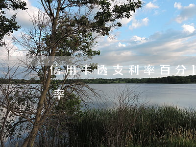信用卡透支利率百分18(银行信用卡透支利率)