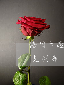 信用卡透支利率的法律规定(什么叫信用卡透支利率)