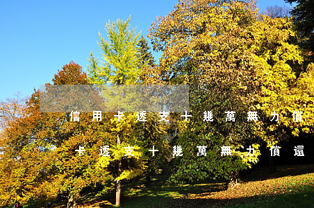 信用卡透支十幾萬無力償還會怎么樣-信用卡透支十幾萬無力償還會怎么樣嗎