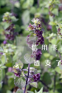 信用卡透支十萬(wàn)怎么處理(信用卡透支了10萬(wàn)還不上怎么辦)