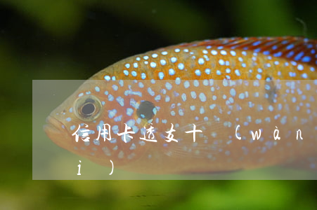 信用卡透支十萬(wàn)能要回來(lái)嗎