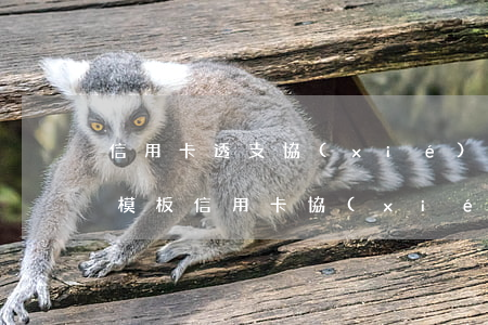 信用卡透支協(xié)商協(xié)議模板(信用卡協(xié)商申請書范文)