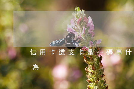 信用卡透支卡是一碼事(什么是信用卡透支行為)