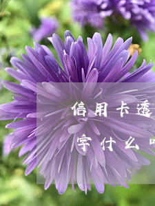 信用卡透支卡的區(qū)別數(shù)字(什么叫信用卡什么是透支卡)