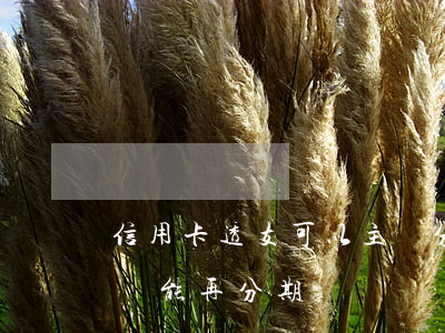 信用卡透支可以主動分期嗎(信用卡分期之后還能再分期嗎)