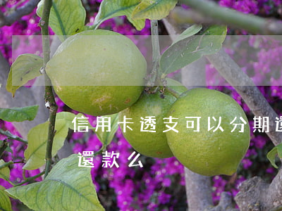 信用卡透支可以分期還款嗎(透支卡可以分期還款么)