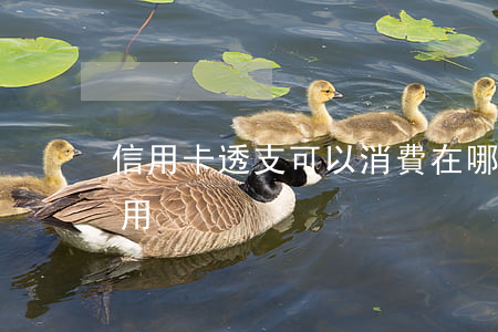 信用卡透支可以消費在哪(信用卡透支卡怎么用)