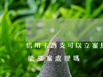 信用卡透支可以立案馬(使用他人信用卡透支能立案處理嗎)