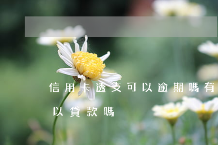 信用卡透支可以逾期嗎 有信用卡透支的還可以貸款嗎