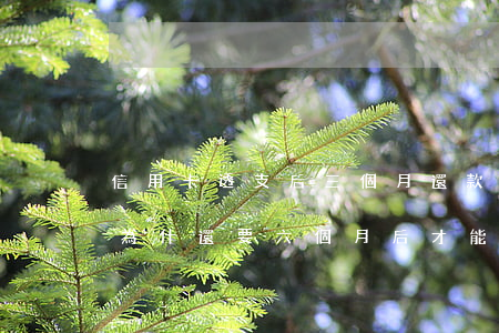 信用卡透支后三個月還款(信用卡透支還清后為什還要六個月后才能用)