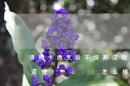 信用卡透支后不按期還款(銀行信用卡透支不還會(huì)怎么樣)