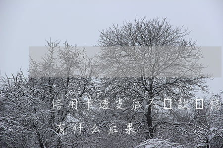 信用卡透支后不還款嗎(信用卡透支到期不還有什么后果)