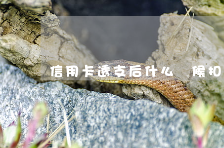 信用卡透支后什么時候扣款