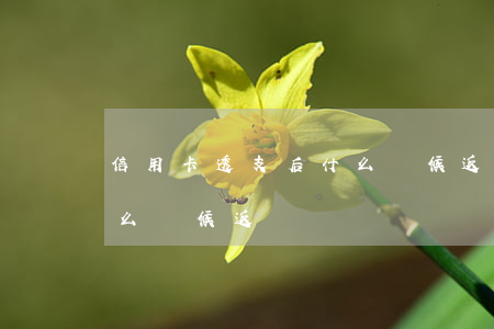 信用卡透支后什么時候返還(信用卡透支后什么時候返還)
