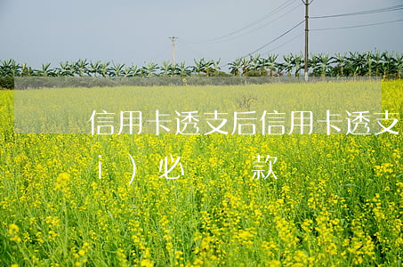 信用卡透支后，信用卡透支后多久之內(nèi)必須還款