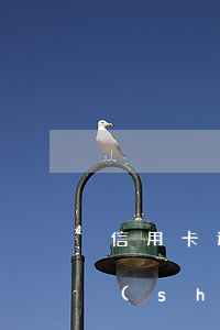 信用卡透支后多久又利息(信用卡透支多長時(shí)間沒有利息)