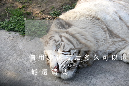 信用卡透支后多久可以還清(欠信用卡慢慢還能還清嗎)