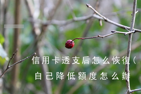 信用卡透支后怎么恢復(fù)額度(信用卡,自己降低額度怎么辦)