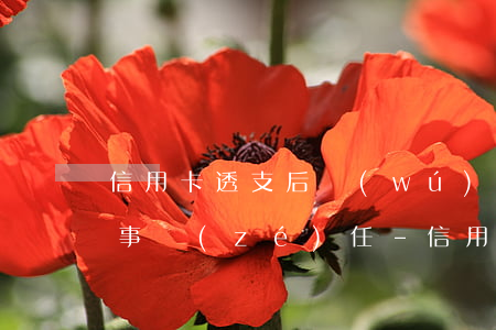 信用卡透支后無(wú)力償還如何避免刑事責(zé)任-信用卡透支后無(wú)力償還如何避免刑事責(zé)任