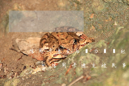 信用卡透支后無力償還起訴后律師費是多少-欠信用卡透支被民事訴訟怎么辦
