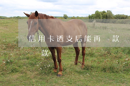 信用卡透支后能再貸款嗎(信用卡透支了還能貸款嗎)