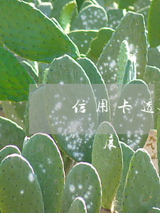 信用卡透支后被降額度嗎(信用卡透支后被降額度嗎)