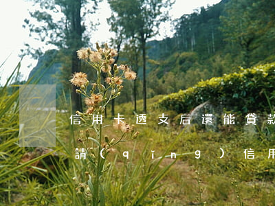 信用卡透支后還能貸款嗎(信用卡透支還能申請(qǐng)信用卡嗎)