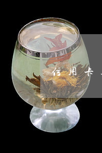信用卡透支后還能轉賬嗎(信用卡透支后還能轉賬嗎)