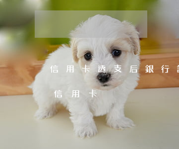 信用卡透支后銀行讓辦分期(透支可以分期嗎信用卡)